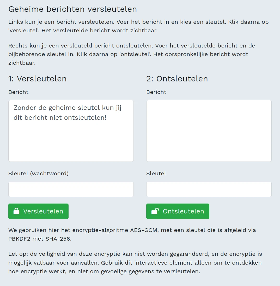 Screenshot interactief element: het bericht wordt ingevoerd.