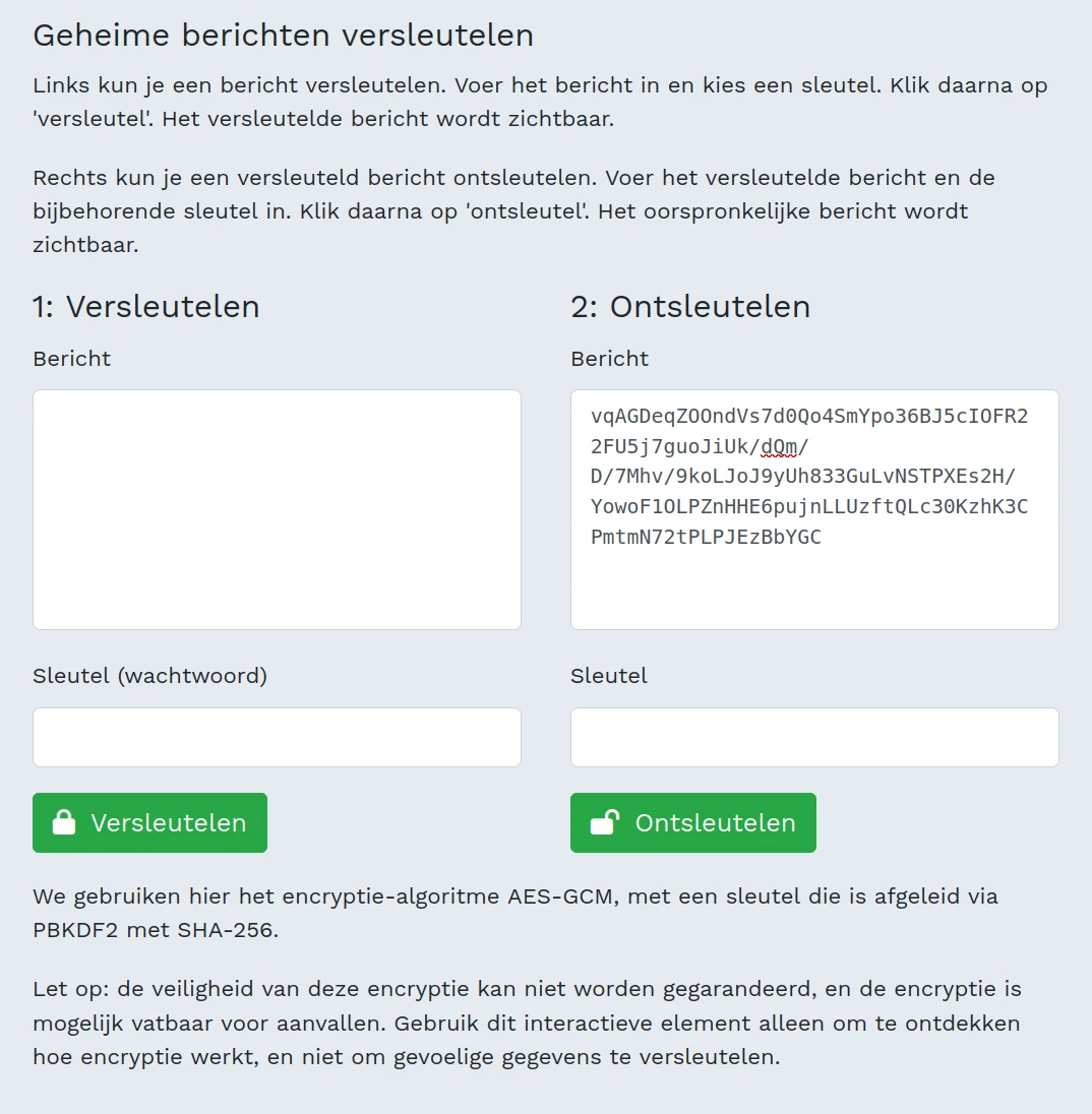 Screenshot interactief element: het versleutelde bericht wordt ingevoerd.