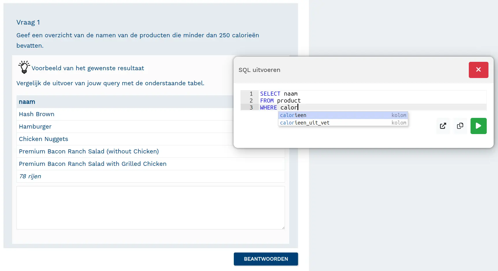 Screenshot van de SQL-tool in de lesmethode